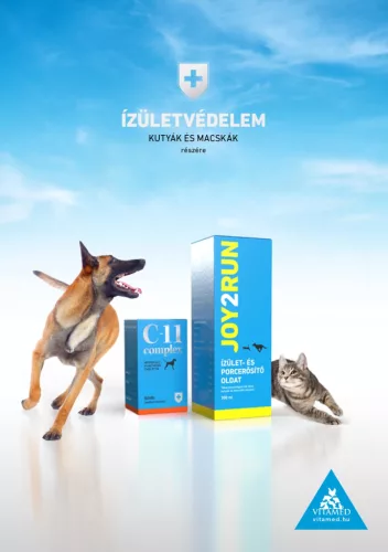 Joy2Run ízület- és porcerősítő oldat 300ml
