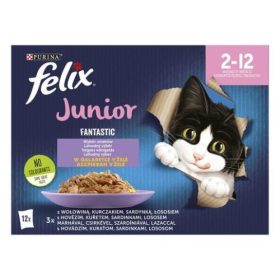   FELIX FANTASTIC Junior Vegyes válogatás aszpikban nedves macskaeledel 12x85g