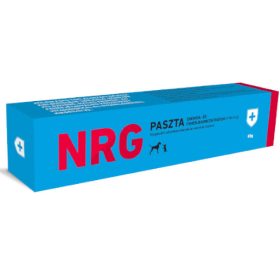 NRG Paszta 80g