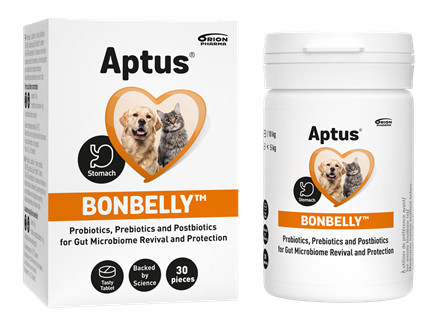 Aptus Bonbelly tabletta az emésztőrendszeri funkciók stabilizálására 30db