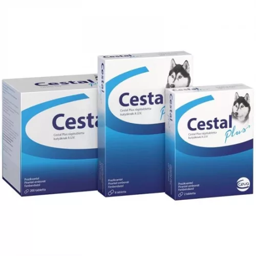 Cestal Plus rágótabletta 2x