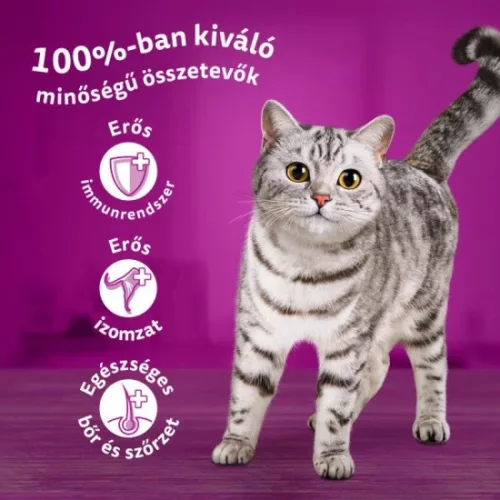 Whiskas alutasak Multipack szárnyas aszpikban 12x85g