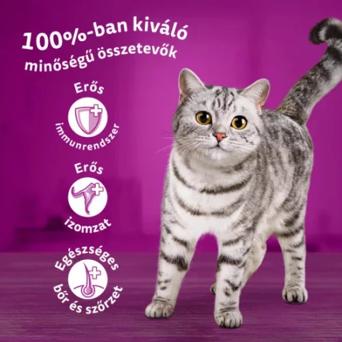 Whiskas alutasak Multipack Marha-Csirke  mártásban  4x85g