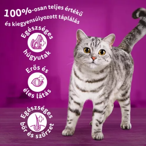 Whiskas Sterilie száraz macskaeledel csirkével 1,4kg