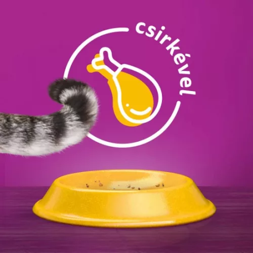 Whiskas Sterilie száraz macskaeledel csirkével 1,4kg