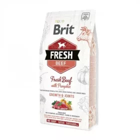 Brit Fresh Beef with Pumpkin Puppy Large kutyatáp 2,5 kg