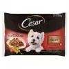 Cesar alutasak Multipack válogatás mártásban 4x100g
