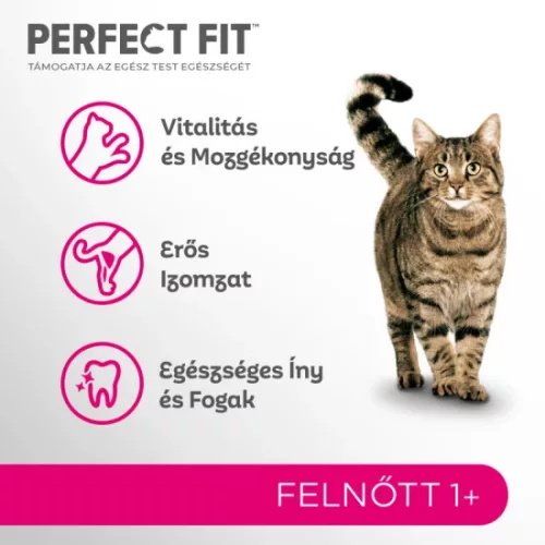 PERFECT FIT száraz Adult Lazac 750g