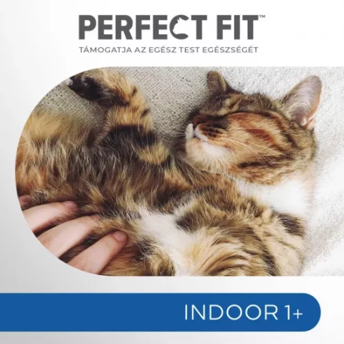 PERFECT FIT száraz Indoor Csirke 750g