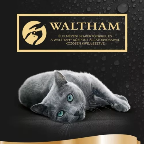 Sheba Mini 15x50g szárnyas Multipack