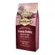 Carnilove Cat Kitten Salmon & Turkey – Healthy Growth - Lazac és Pulyka Hússal 6kg