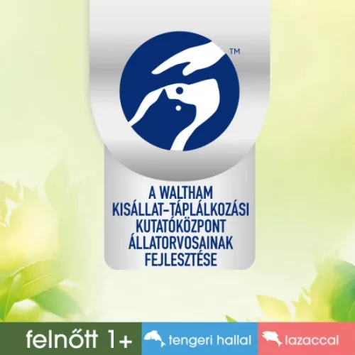 PERFECT FIT mini tasakos lazac & oceani halas 6x50g Multipack