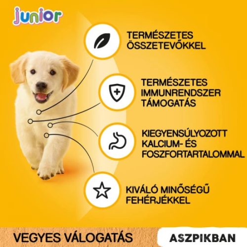 Pedigree alutasak Multipack Junior 12x100g