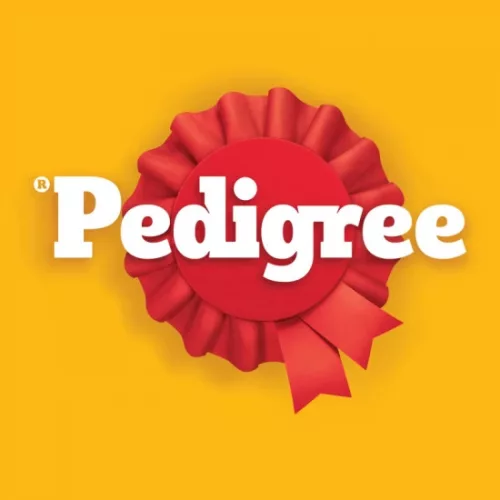 PEDIGREE Száraz Marha & Zöldség 3kg