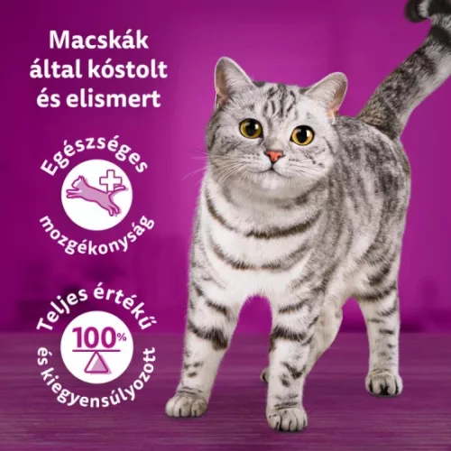 Whiskas alutasak Multipack Tasty Mix Chef's choice mártásban 4x85g