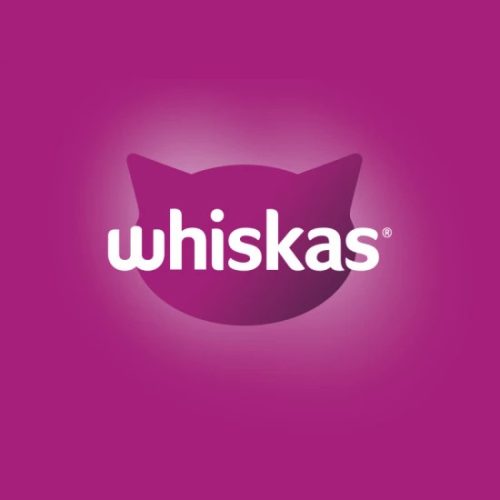 Whiskas Alutasakos Junior Krémes Klasszikus Válogatás 12x85g Multipack