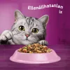 Whiskas Száraz Lazac 1,4kg