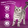 Whiskas Száraz Lazac 1,4kg