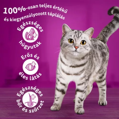 Whiskas Száraz Steril Lazac 1,4kg