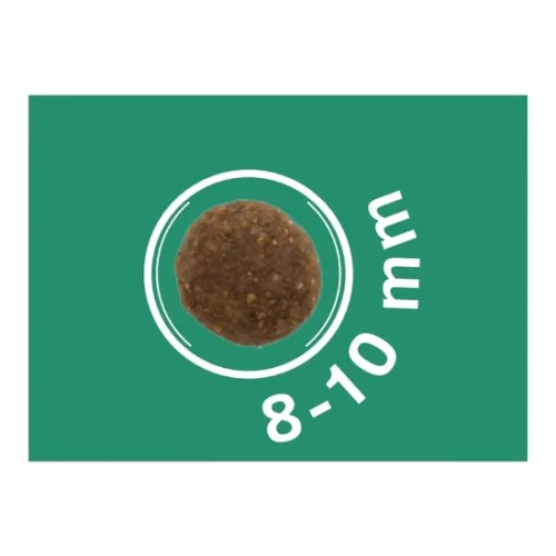 Dog Vital Hipoallergén Puppy&Junior All breed Lamb,apple&blueberry 12+2kg grátisz