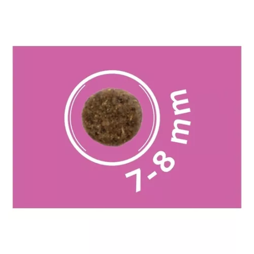 Dog Vital Hipoallergén Adult Mini Lamb,apple&blueberry 12+2kg grátisz