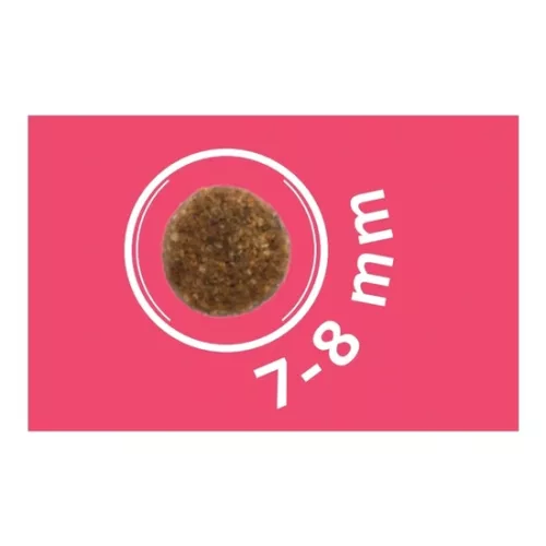 Dog Vital Hipoallergén Adult Mini Pork,apple&blueberry 12+2kg grátisz