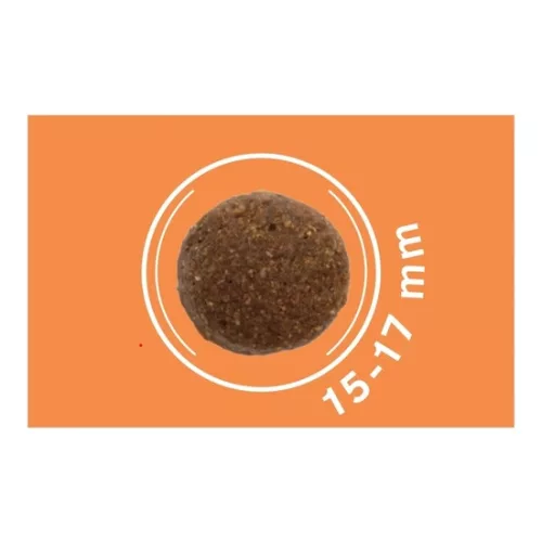 Dog Vital Hipoallergén Adult Medium&Maxi Lamb,spinach&pumpkin 12+2kg grátisz