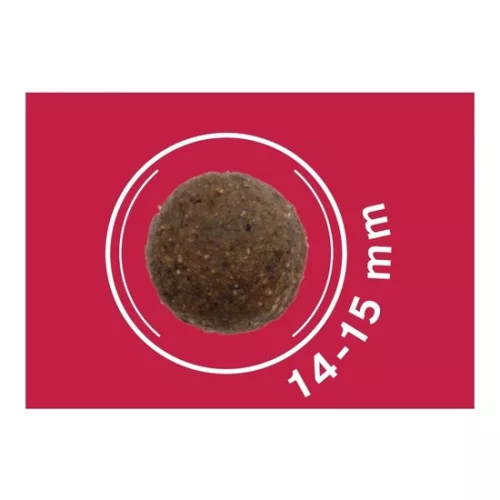 Dog Vital Hipoallergén Top Energy Adult Medium&Maxi Pork, blueberry&spinach 12+2kg grátisz