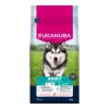Eukanuba Adult Large Salmon & Barley kutyatáp 12kg