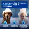 Douxo Spa Lemosást nem igénylő frissítő hab kutyáknak 150ml