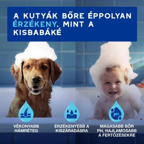 Douxo Spa Lemosást nem igénylő frissítő hab kutyáknak 150ml