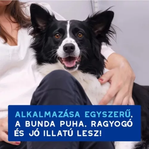 Douxo Spa Lemosást nem igénylő frissítő hab kutyáknak 150ml