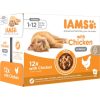 Iams Cat Delights alutasak Kitten & Junior csirke falatkák ízletes szószban, Multipack 12x85g