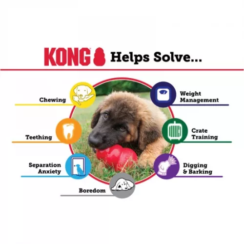 KONG Játék Harang Kölyökkutyáknak S