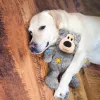 KONG Wildknots Medve Kutyajáték XL