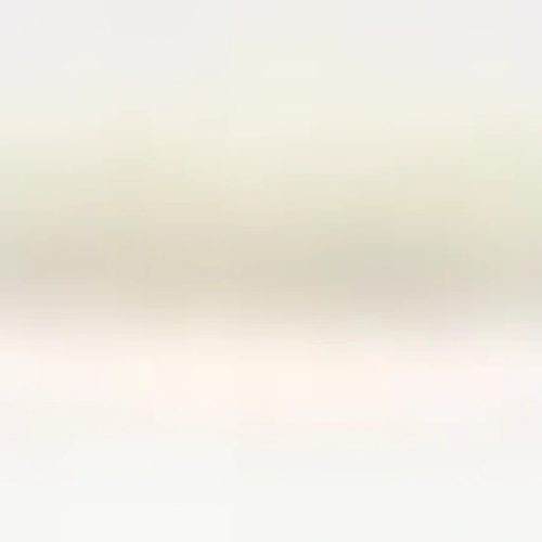 Trixie Kullancskiszedő Műanyag 11cm