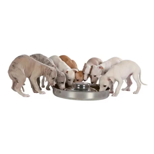 Trixie tál kölyök kutyáknak 4l/38cm
