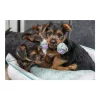 Trixie Játék súlyzó kötélből 15cm