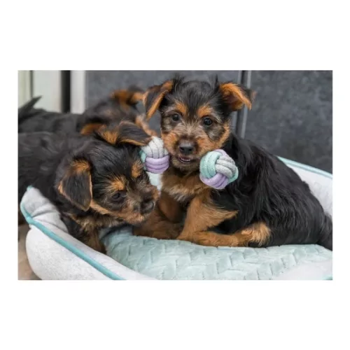 Trixie Játék súlyzó kötélből 15cm