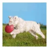 Trixie Játék Gumi Dog Disc Úszó 24cm