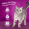 Whiskas alutasak csirke aszpikpan 85g