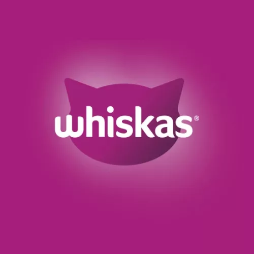 Whiskas Junior macskaeledel csirkével 300g