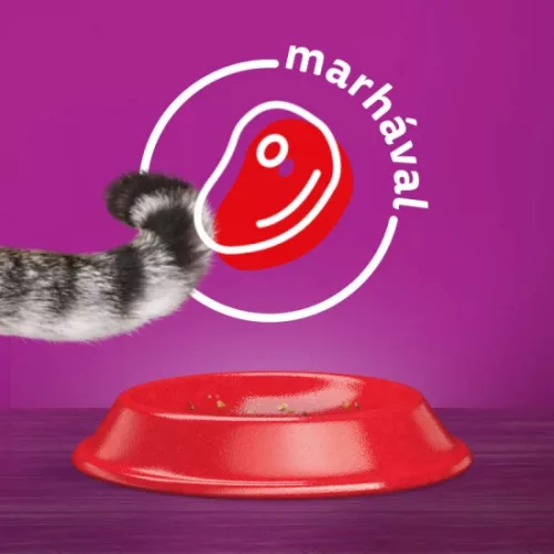 Whiskas Száraz Marha -Májas Falat 300g