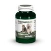 Immunovet granulátum 150g