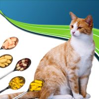 Táplálék kiegészítők