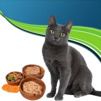 Nedves eledelek és konzervek