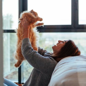 20 tipp friss macskatartóknak